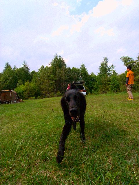 a0093592_0371711.jpg