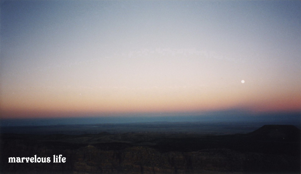 c0191092_23143568.jpg