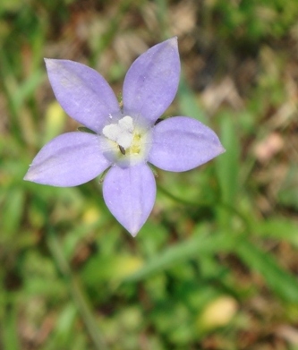 e0111793_12621.jpg