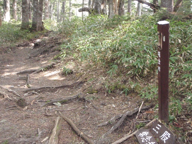 c0147398_005424.jpg