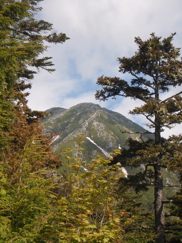 c0147398_01749.jpg