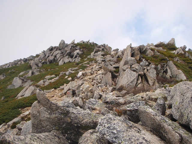 c0147398_02257.jpg