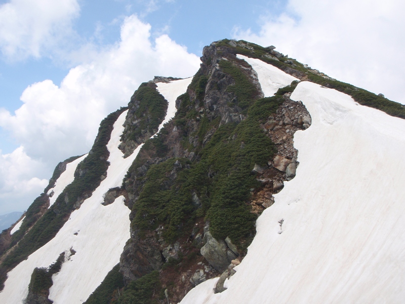 c0147398_032539.jpg