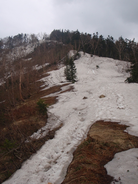 c0147398_051324.jpg