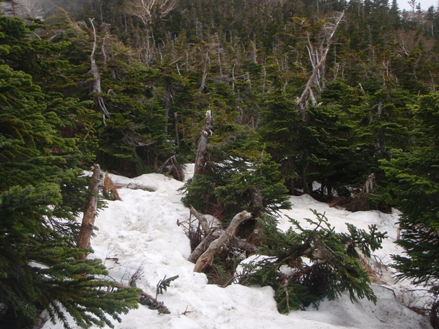 c0147398_05395.jpg