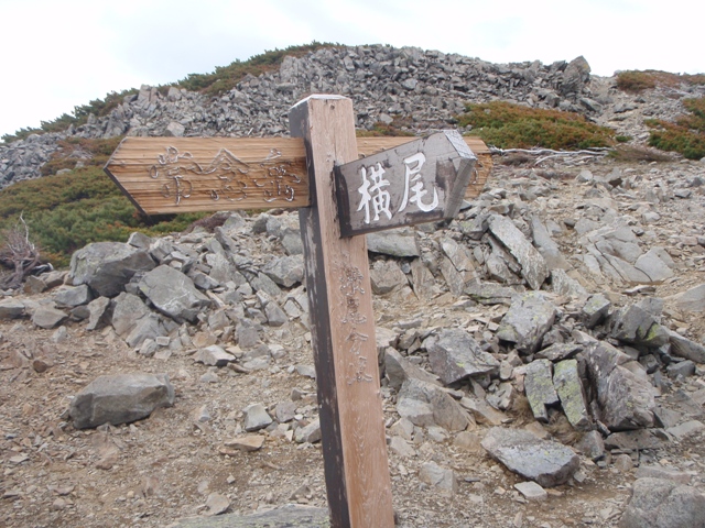 c0147398_061977.jpg