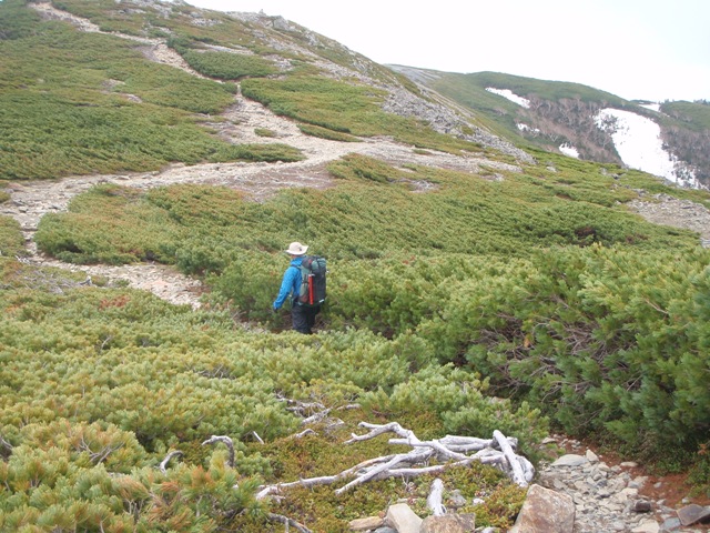 c0147398_063036.jpg