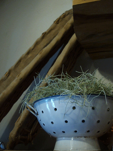 c0129702_235663.gif