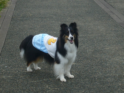 e0130008_19305097.jpg