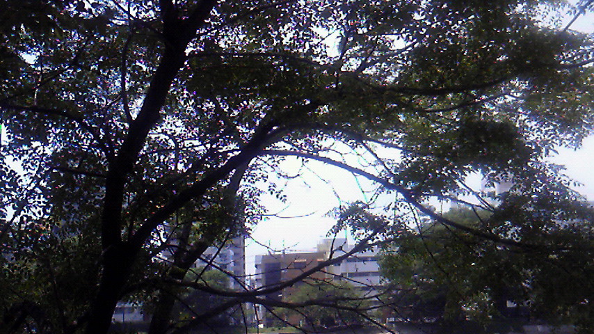 f0054610_1973788.jpg