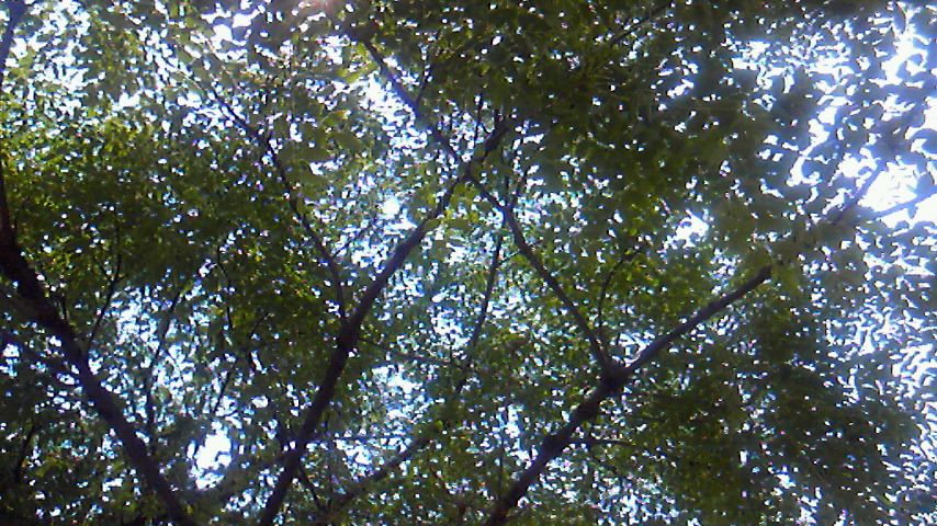 f0054610_1974961.jpg