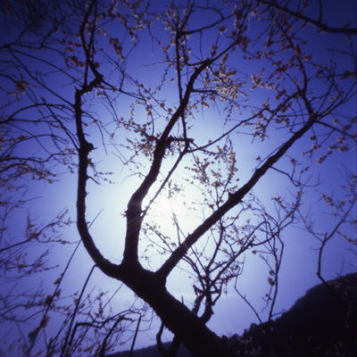 c0016712_13521855.jpg