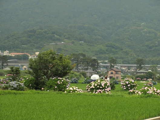 e0083212_1663964.jpg