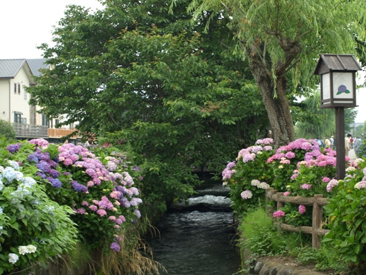 e0083212_1671784.jpg