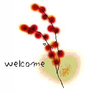 a0111618_14524740.gif