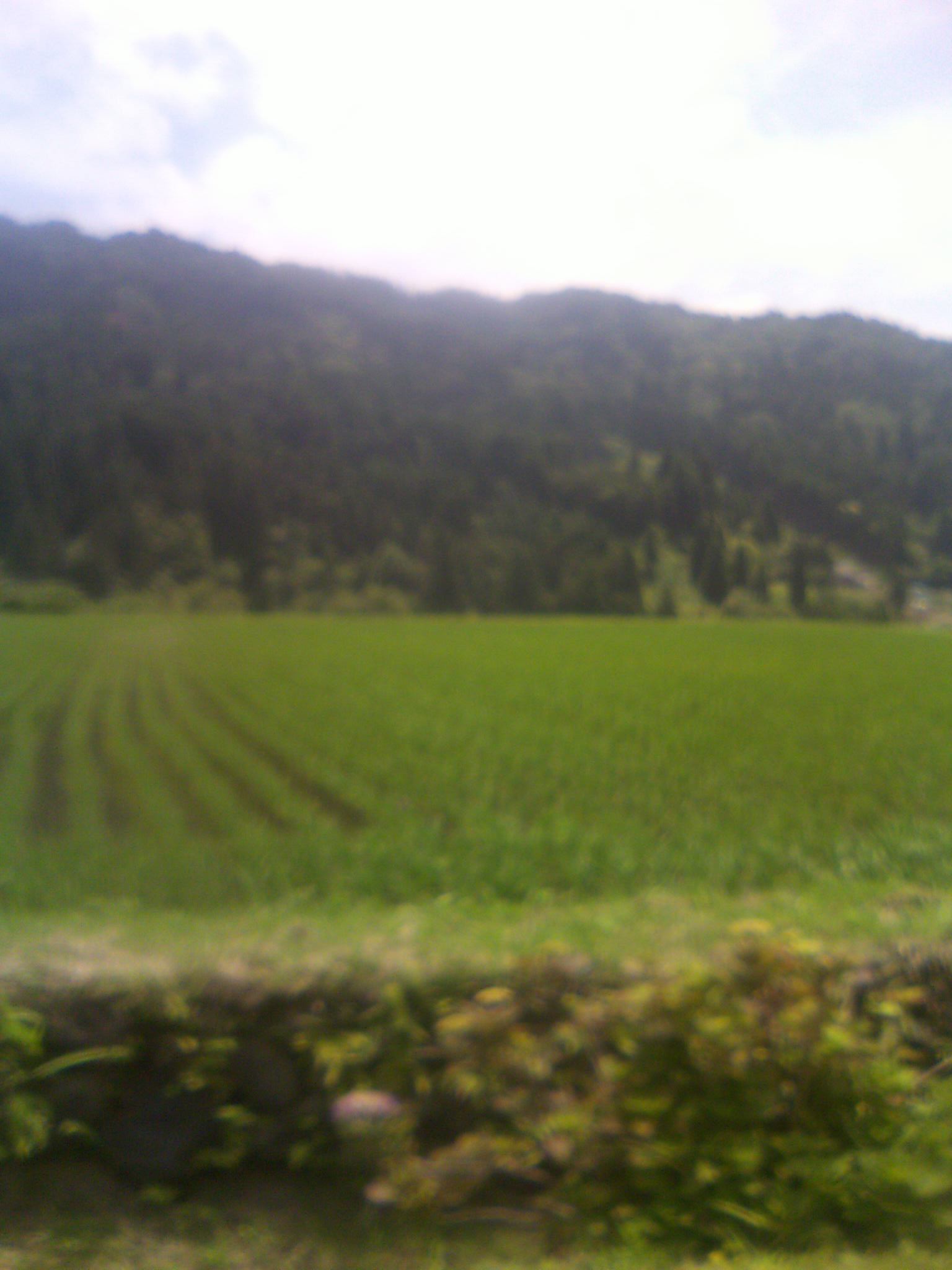 a0111618_1521673.jpg