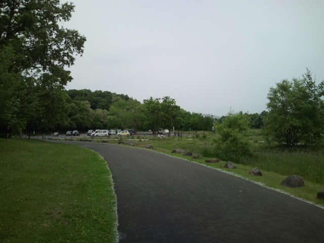 b0128821_20374363.jpg