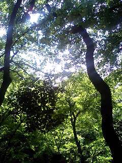 a0043326_16444963.jpg