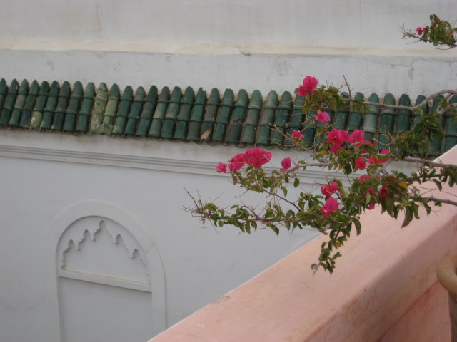 d0147727_2272914.jpg