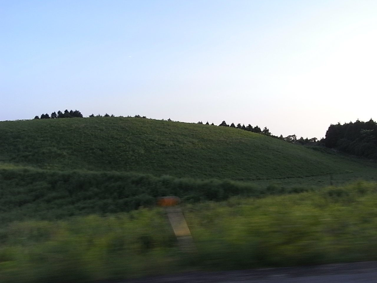 f0169328_8485190.jpg