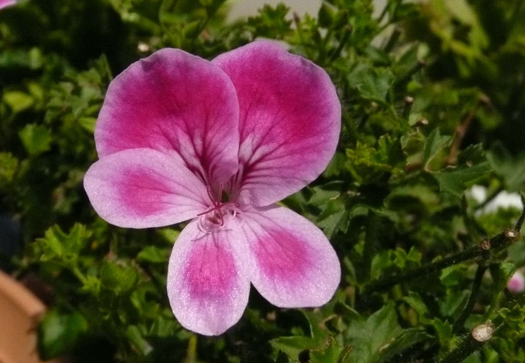 e0033229_17285515.jpg