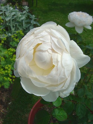 f0205733_1359865.jpg
