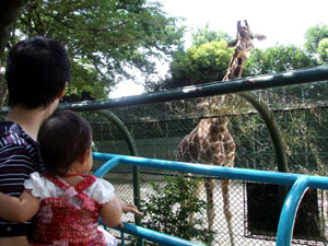 f0075537_236249.jpg