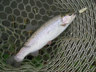 f0065341_0325162.jpg
