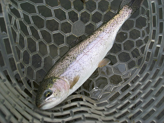 f0065341_0343983.jpg