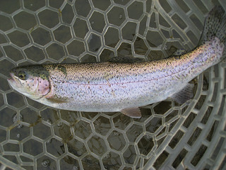 f0065341_0351086.jpg