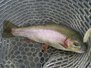 f0065341_0405986.jpg