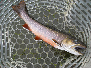 f0065341_0413056.jpg