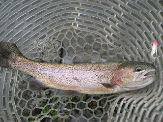 f0065341_0432836.jpg