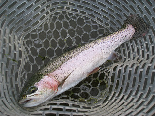 f0065341_044064.jpg