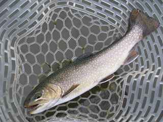 f0065341_0441992.jpg