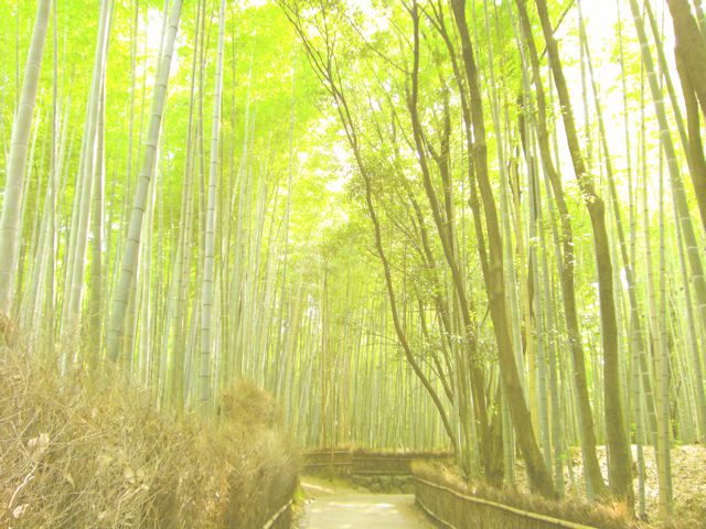 f0200342_16114696.jpg