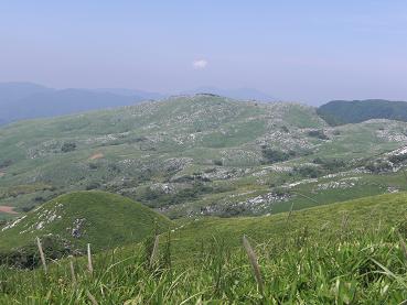 e0164643_11333442.jpg