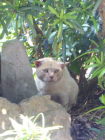 e0110047_10561193.jpg