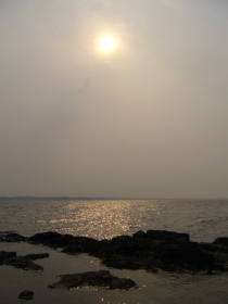 e0110047_10595019.jpg