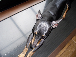 c0123149_2374499.jpg