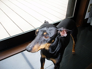 c0123149_2375235.jpg