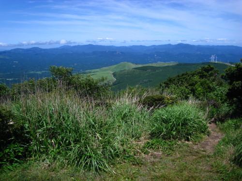 c0179351_2016524.jpg