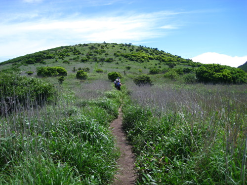 c0179351_2022343.jpg