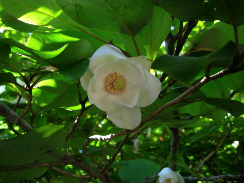 c0179351_2023625.jpg