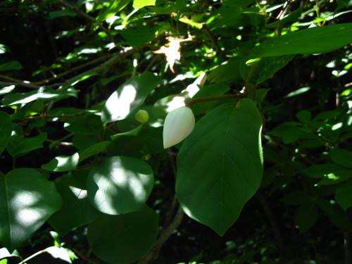c0179351_2033137.jpg