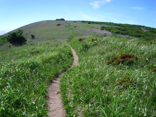 c0179351_20394791.jpg