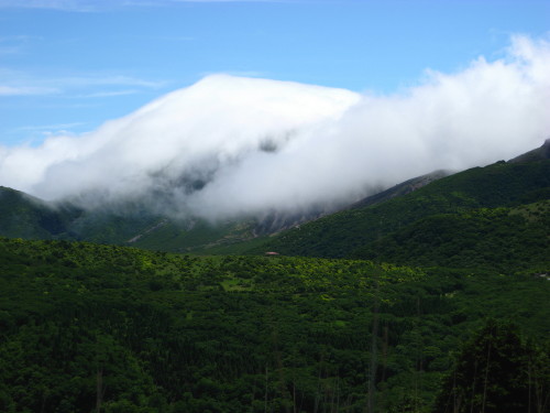 c0179351_20404054.jpg