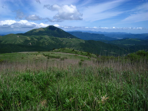 c0179351_2045735.jpg