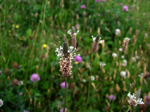 c0179351_20504011.jpg