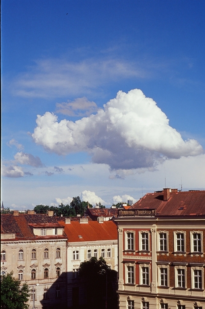 e0134658_042999.jpg